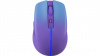 фото1